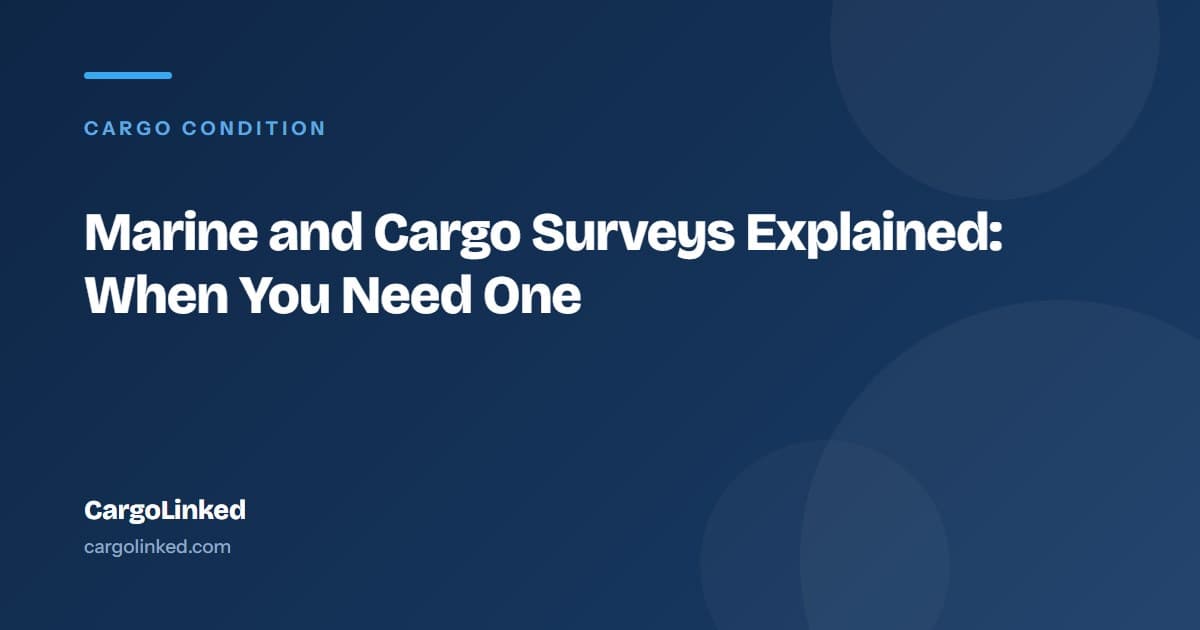 Marine and Cargo Surveys Explained: When You Need One
